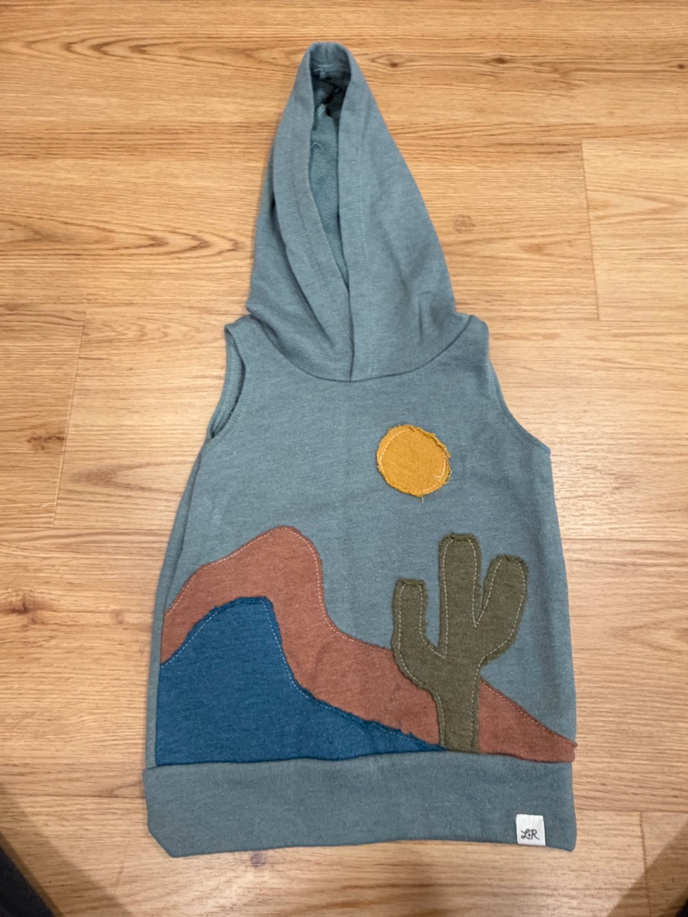 Kids Blue Hoodie with Desert Applique